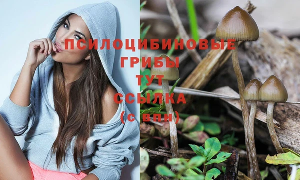 прущий лед Абинск