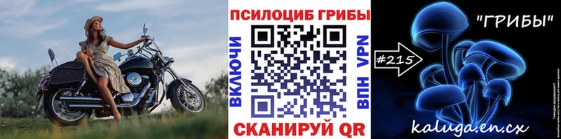 это Telegram Ядрин Псилоцибиновые грибы MAGIC MUSHROOMS где купить наркоту